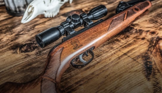 Las mejores ofertas en Rifles de aire Gamo