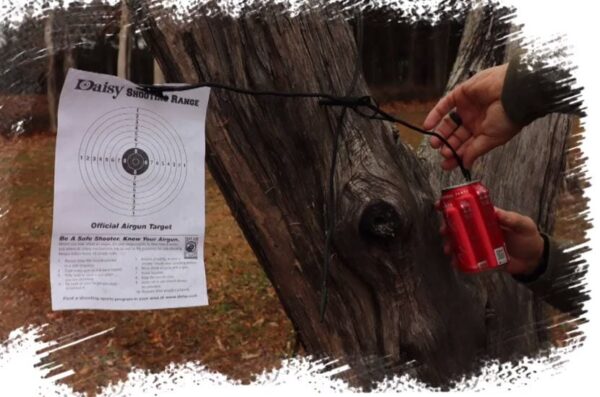 Gamo Tree Spider Airgun Target - Image 3