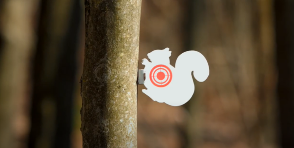 Squirrel Target - Image 3