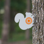 Gamo Squirrel Target