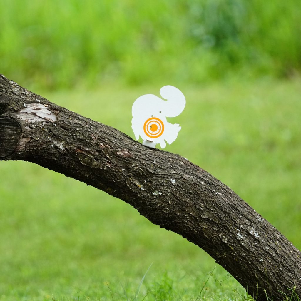 Squirrel Silhouette Airgun Target Cardboard (4 Pack) | Gamo