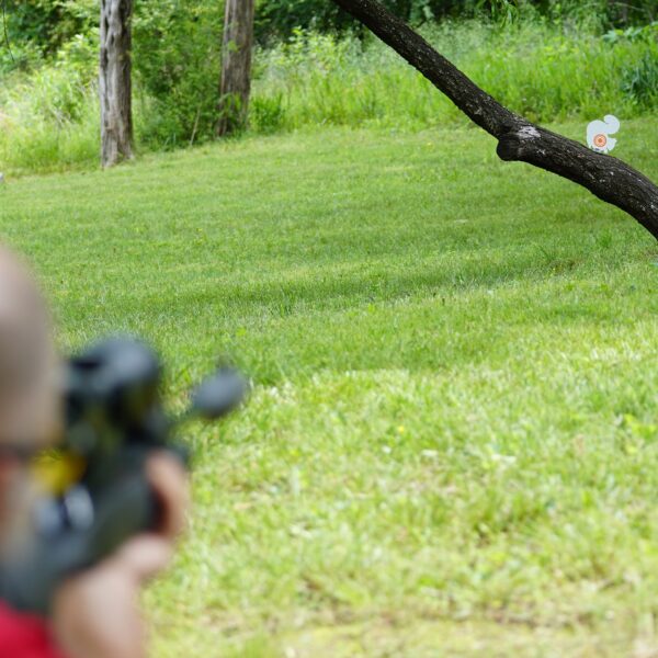 squirrel shooting targets