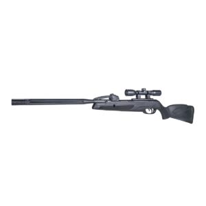 Gamo Swarm Whisper .22 10 shot multishot pellet air rifle gun