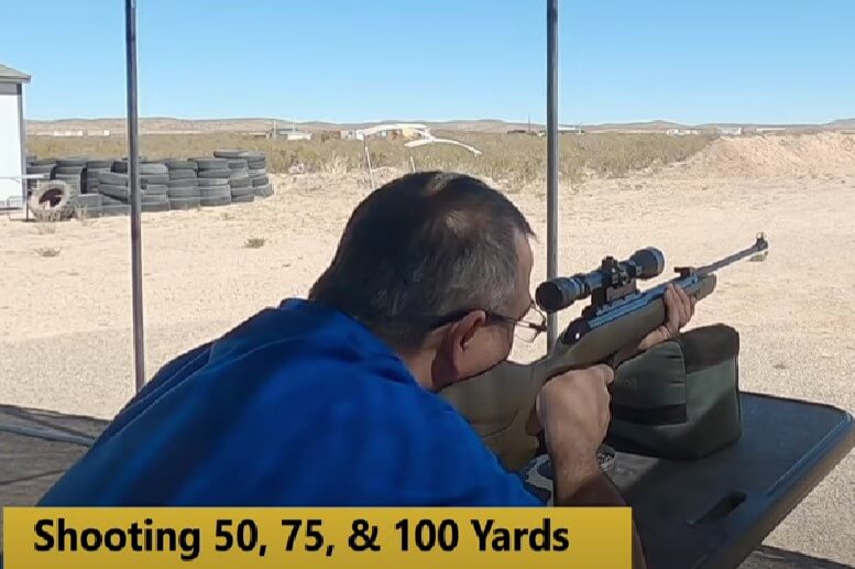 Gamo Magnum GR .22 pellet air rifle Review