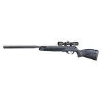 Gamo Raptor Whisper