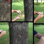 Gamo Tree Spider Target