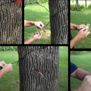 Gamo Tree Spider Target