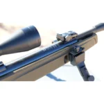 Shadow Tactical Maxxim GR .22 Pellet Rifle Kit Maxxim sights View
