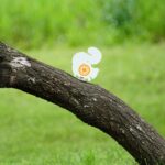 Gamo Squirrel Target